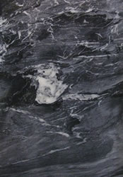 Black Spider Marble Close Up